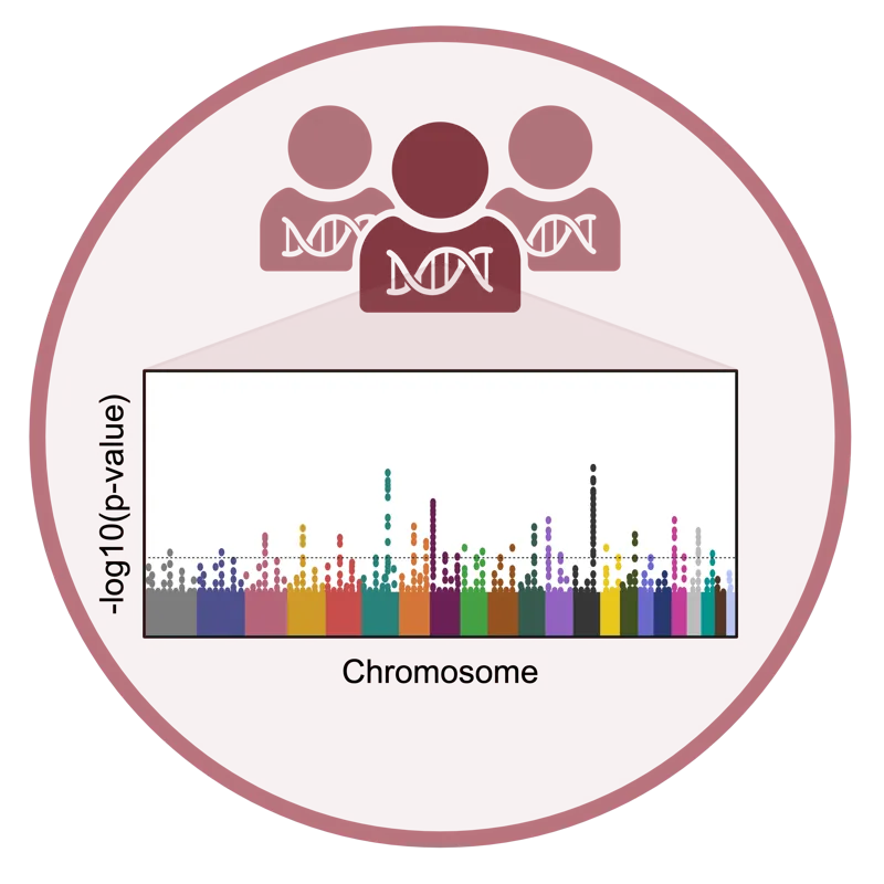 Population genetics